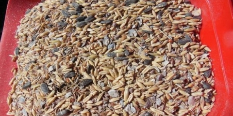 Kako odabrati i napraviti krmnu smjesu za brojlere